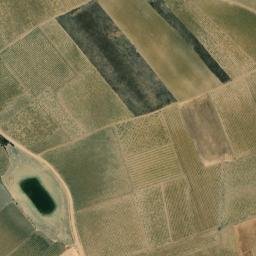 Satellite imagery of survey_point, PT