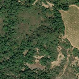 Satellite imagery of Walbridge Ridge, US