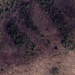 Satellite imagery of Leading Ridge, US