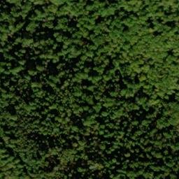 Satellite imagery of Elder Ridge, US