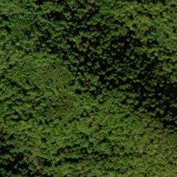 Satellite imagery of Elder Ridge, US