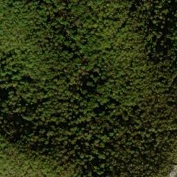 Satellite imagery of Elder Ridge, US