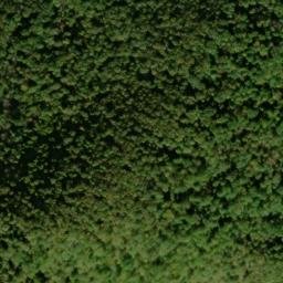 Satellite imagery of Skinner Ridge, US
