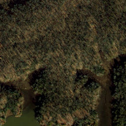 Satellite imagery of Mason Neck, US