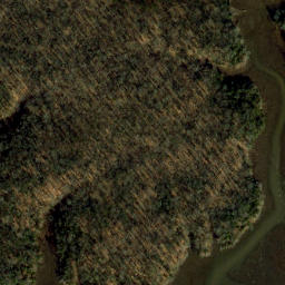 Satellite imagery of Mason Neck, US