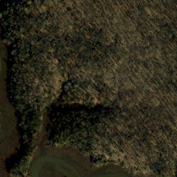 Satellite imagery of Mason Neck, US
