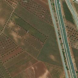 Satellite imagery of survey_point, PT