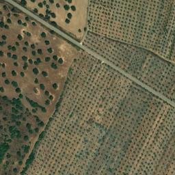 Satellite imagery of El Acebuchar, ES