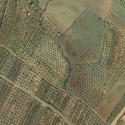 Satellite imagery of El Acebuchar, ES