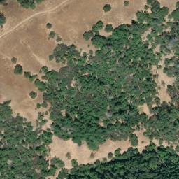 Satellite imagery of Danfield Ridge, US