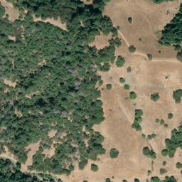 Satellite imagery of Danfield Ridge, US