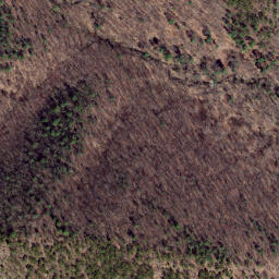 Satellite imagery of Dividing Ridge, US
