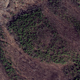 Satellite imagery of Leading Ridge, US