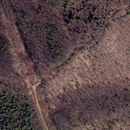 Satellite imagery of Leading Ridge, US