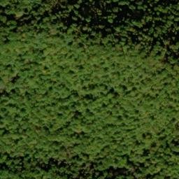 Satellite imagery of Elder Ridge, US