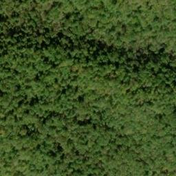 Satellite imagery of Buck Ridge, US