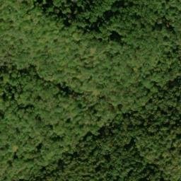 Satellite imagery of Buck Ridge, US