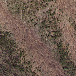 Satellite imagery of Dividing Ridge, US