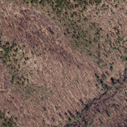 Satellite imagery of Dividing Ridge, US