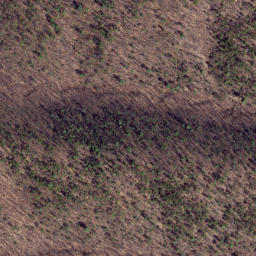 Satellite imagery of Leading Ridge, US