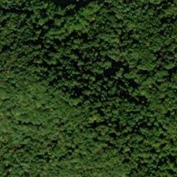 Satellite imagery of Leading Ridge, US