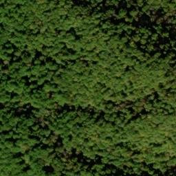 Satellite imagery of Elder Ridge, US
