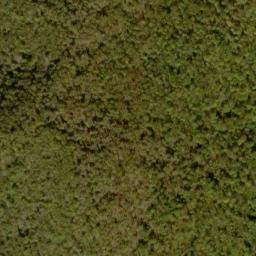 Satellite imagery of Elder Ridge, US
