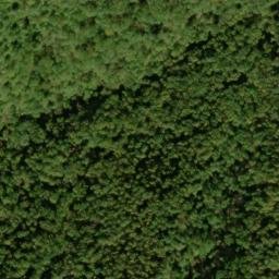 Satellite imagery of Buck Ridge, US