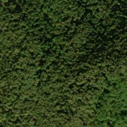 Satellite imagery of Buck Ridge, US