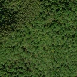 Satellite imagery of Buck Ridge, US