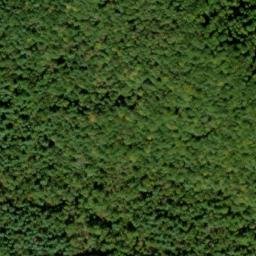 Satellite imagery of Leading Ridge, US