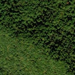 Satellite imagery of Leading Ridge, US