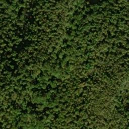Satellite imagery of Buck Ridge, US