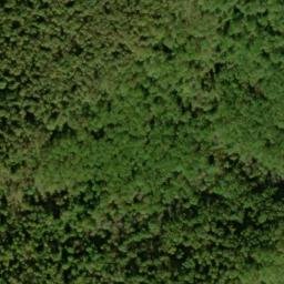 Satellite imagery of Buck Ridge, US