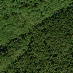 Satellite imagery of Buck Ridge, US