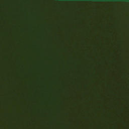 Satellite imagery of Hallowing Point, US