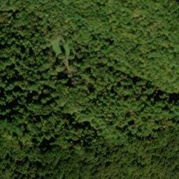 Satellite imagery of Leading Ridge, US