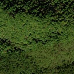 Satellite imagery of Leading Ridge, US