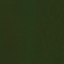 Satellite imagery of Hallowing Point, US