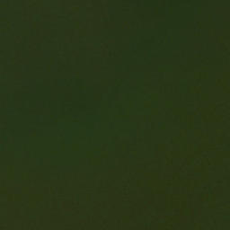 Satellite imagery of Hallowing Point, US