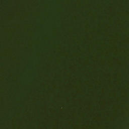 Satellite imagery of Hallowing Point, US