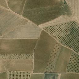Satellite imagery of survey_point, PT