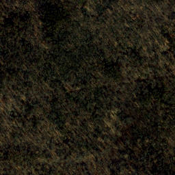 Satellite imagery of Sycamore Point, US