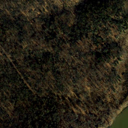 Satellite imagery of Sycamore Point, US