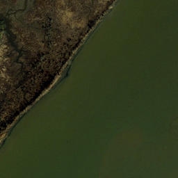 Satellite imagery of Sycamore Point, US