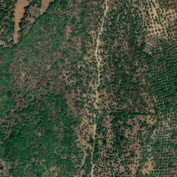 Satellite imagery of survey_point, PT