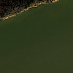 Satellite imagery of Sycamore Point, US