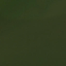 Satellite imagery of Sycamore Point, US