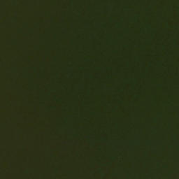 Satellite imagery of Chapman Point, US