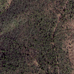 Satellite imagery of Cow Ridge, US
